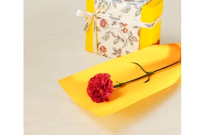 咲きこぼれる藤の花が香り立つ限定フレグランス「グリシーヌ」シリーズ 咲きこぼれる藤の花が香り立つ限定フレグランス「グリシーヌ」シリーズ