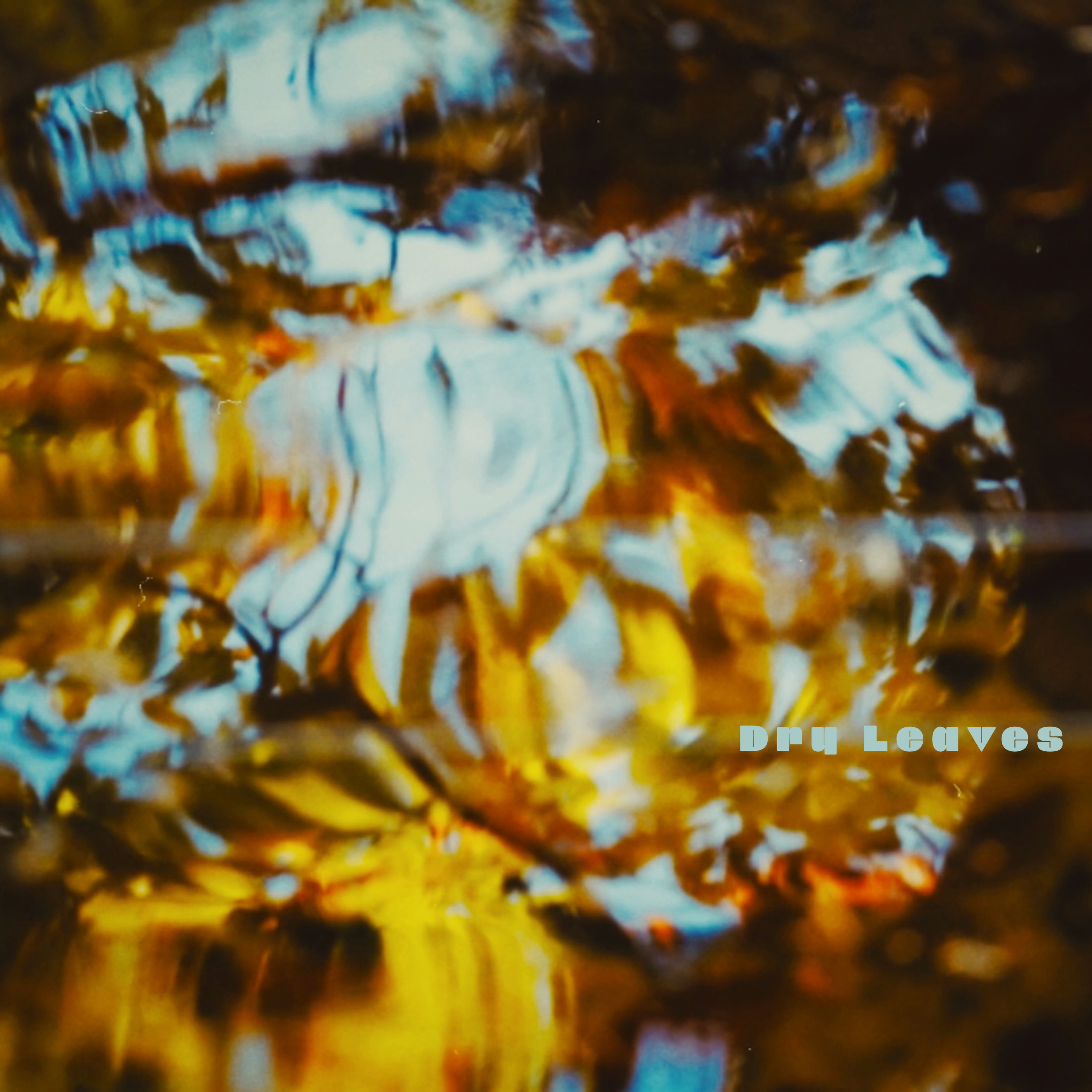 「Dry Leaves」アートワーク