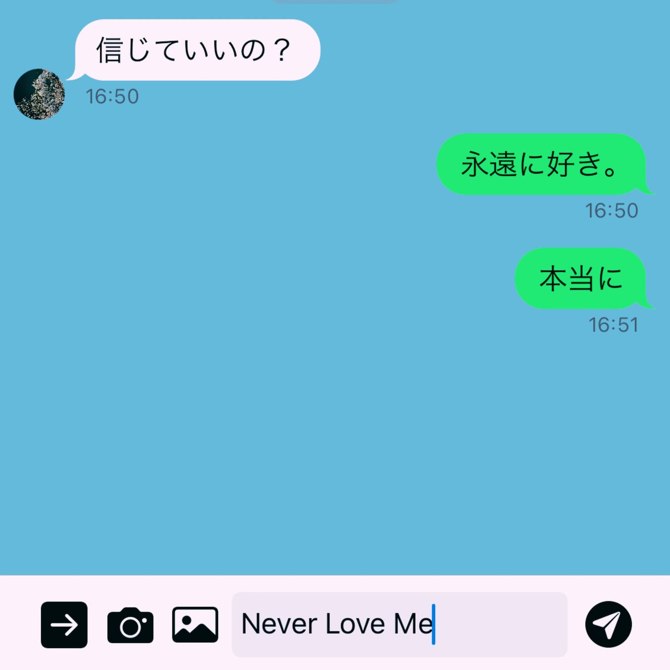 「Never Love Me」アートワーク