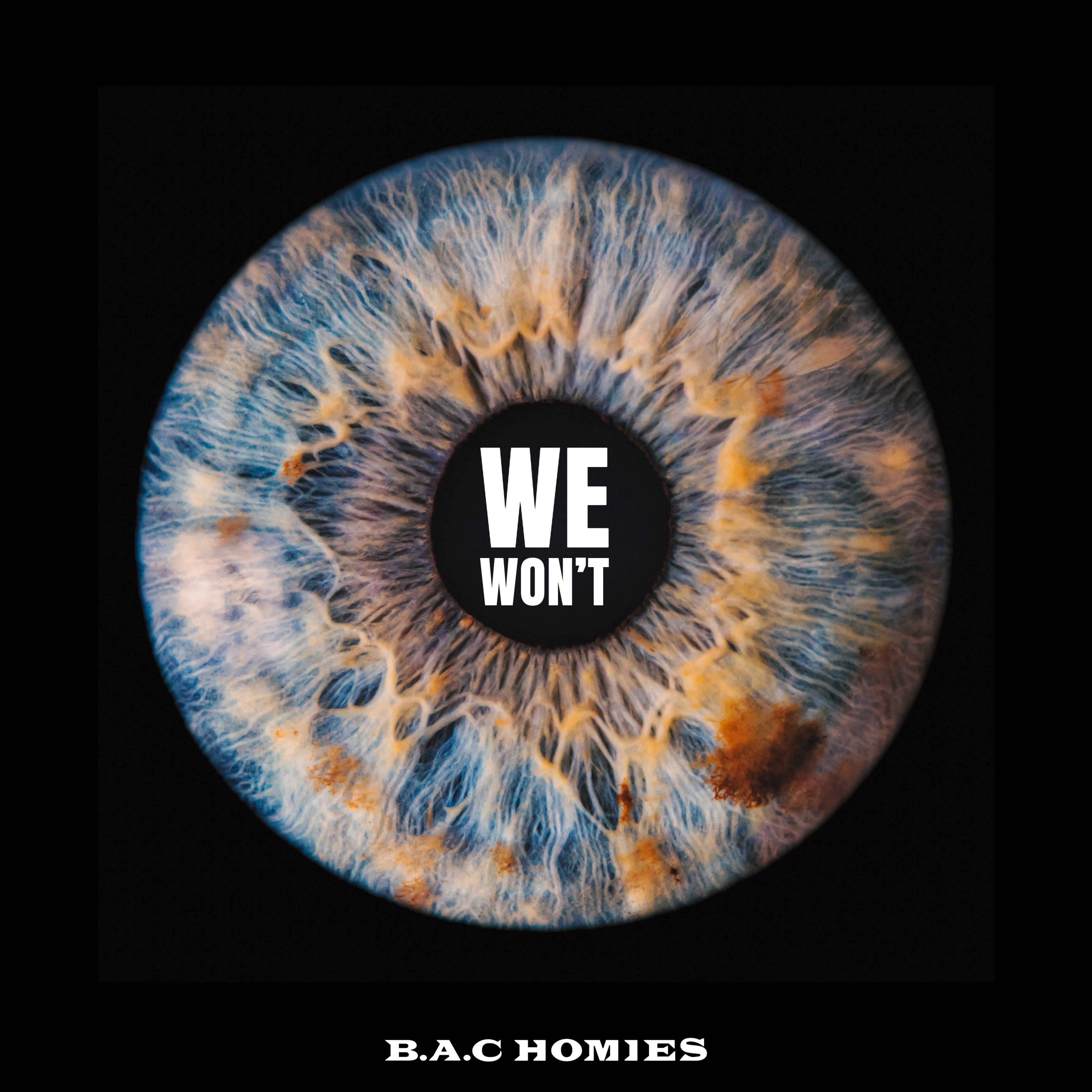 B.A.C HOMIES新体制が始動！5ヶ月連続リリース決定！新体制初のワンマンライブも決定!!!