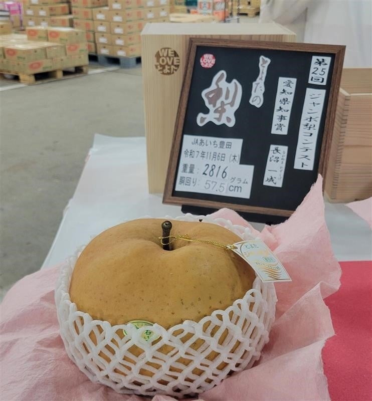 株）バローが第25回ジャンボ梨コンテストで優勝した2.8kgの愛宕梨を