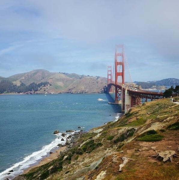 Image courtesy of California Wine Institute