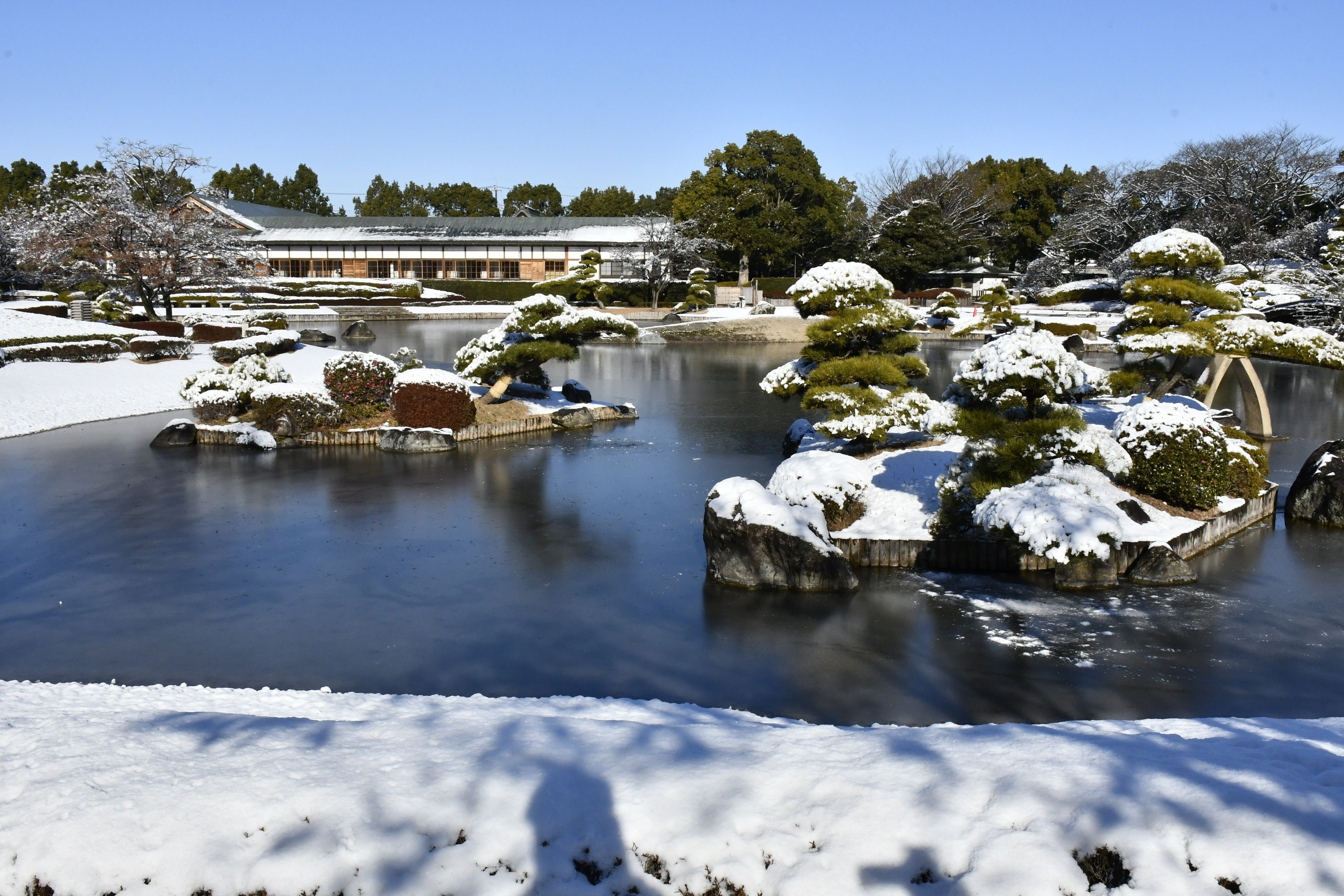 埼玉県越谷市】花田苑・こしがや能楽堂とキャンベルタウン野鳥の森を