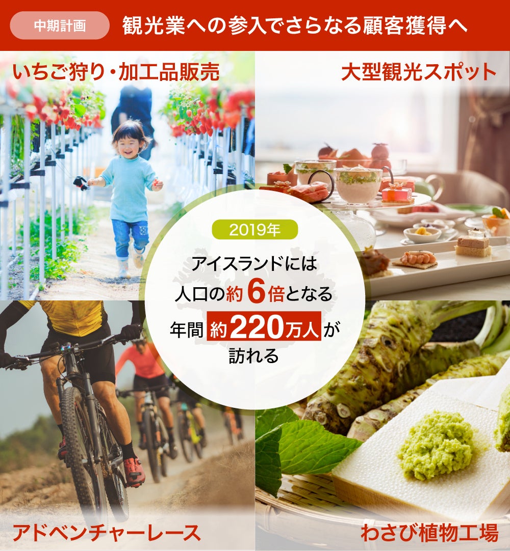 堀江 貴文氏も参画するアイスランド「日本産いちご植物工場