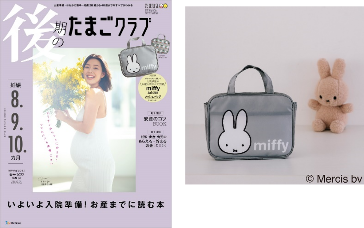 たまひよ」1993年創刊以来の大リニューアル。妊娠期・育児期を6つに