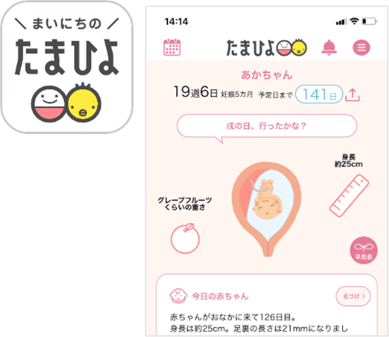 ヒヨコさま確認ページ♡ koko🌲🥀🐏 (@koko55koko) / X