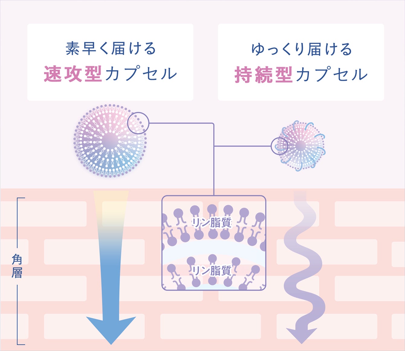 YOLU SKIN コンセプト
