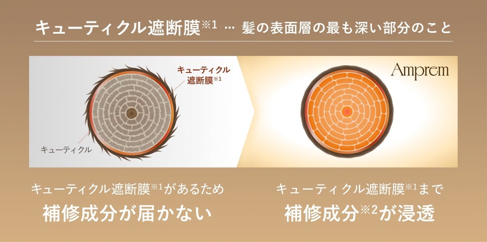 ※1 キューティクル最深部 ※2 すべて毛髪補修成分【ケラチンショットシャンプー&トリートメント】加水分解ケラチン(羊毛)、加水分解ケラチン水(羊毛)【シルクショットシャンプー&トリートメント】加水分解シルク、シルク水