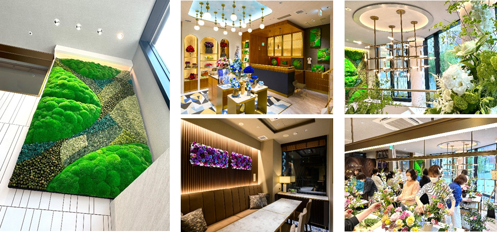 左：店内壁面の苔のプリザーブドフラワー　　中上：ベル・フルール銀座本店　店内　　中下：VIPルーム　　左上下：ベル・フルール銀座校