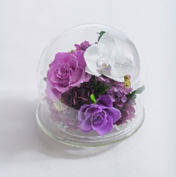 ライフスタイルや住環境の変化から 水換え不要で長期間飾れる