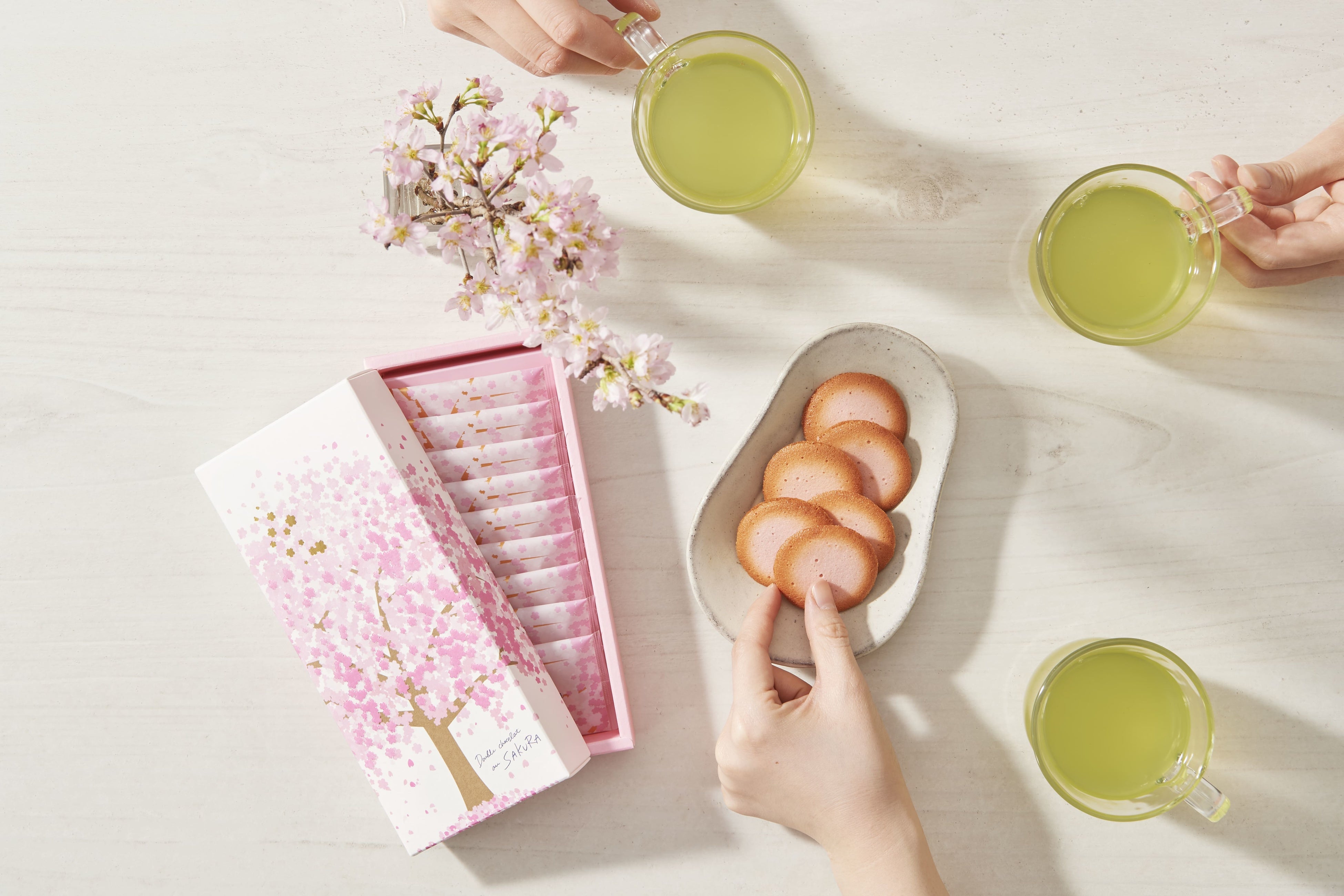 ドゥーブル ショコラ オゥ サクラ