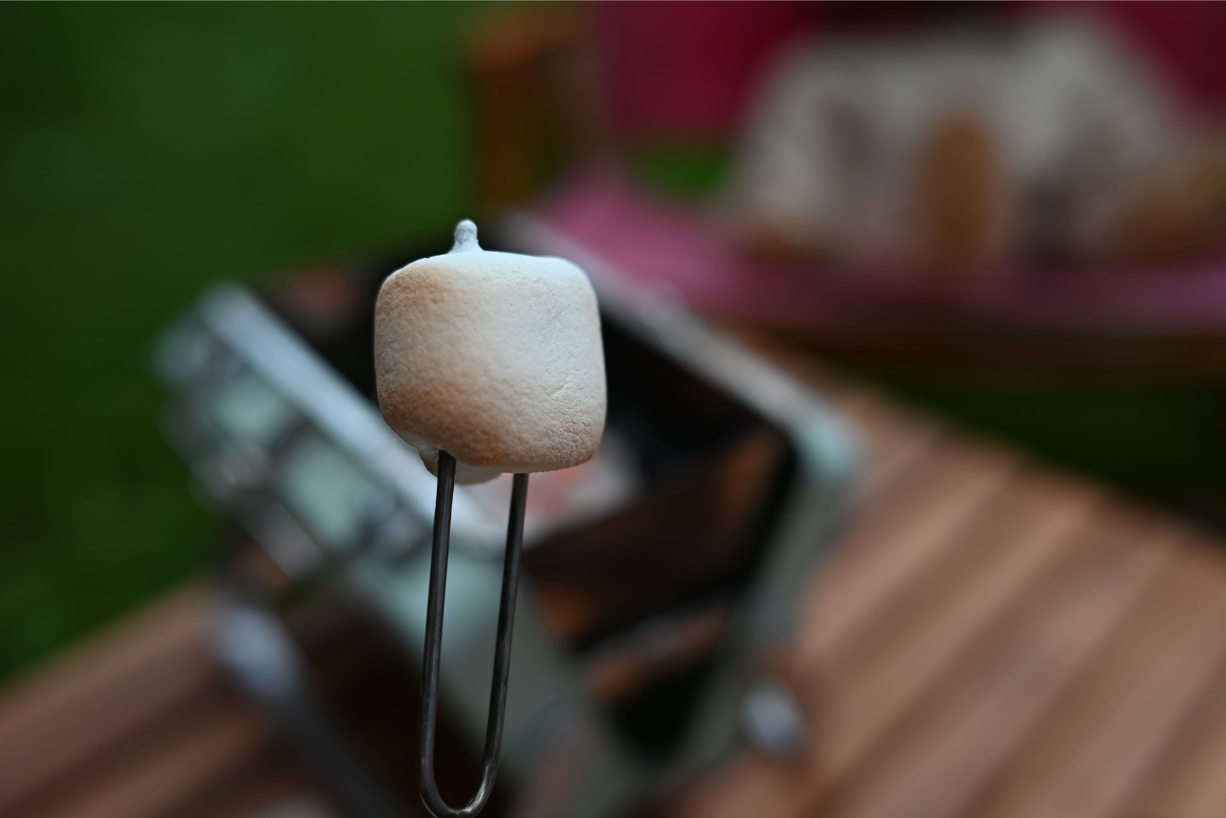 秋サブレのスモア