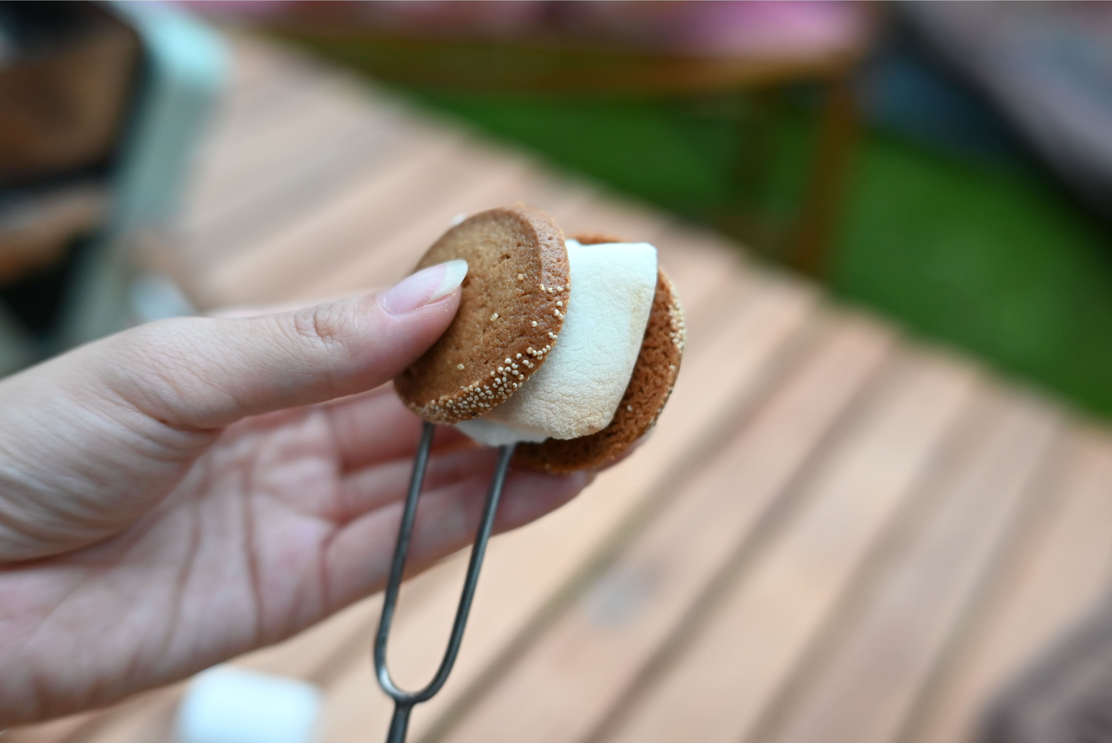 秋サブレのスモア