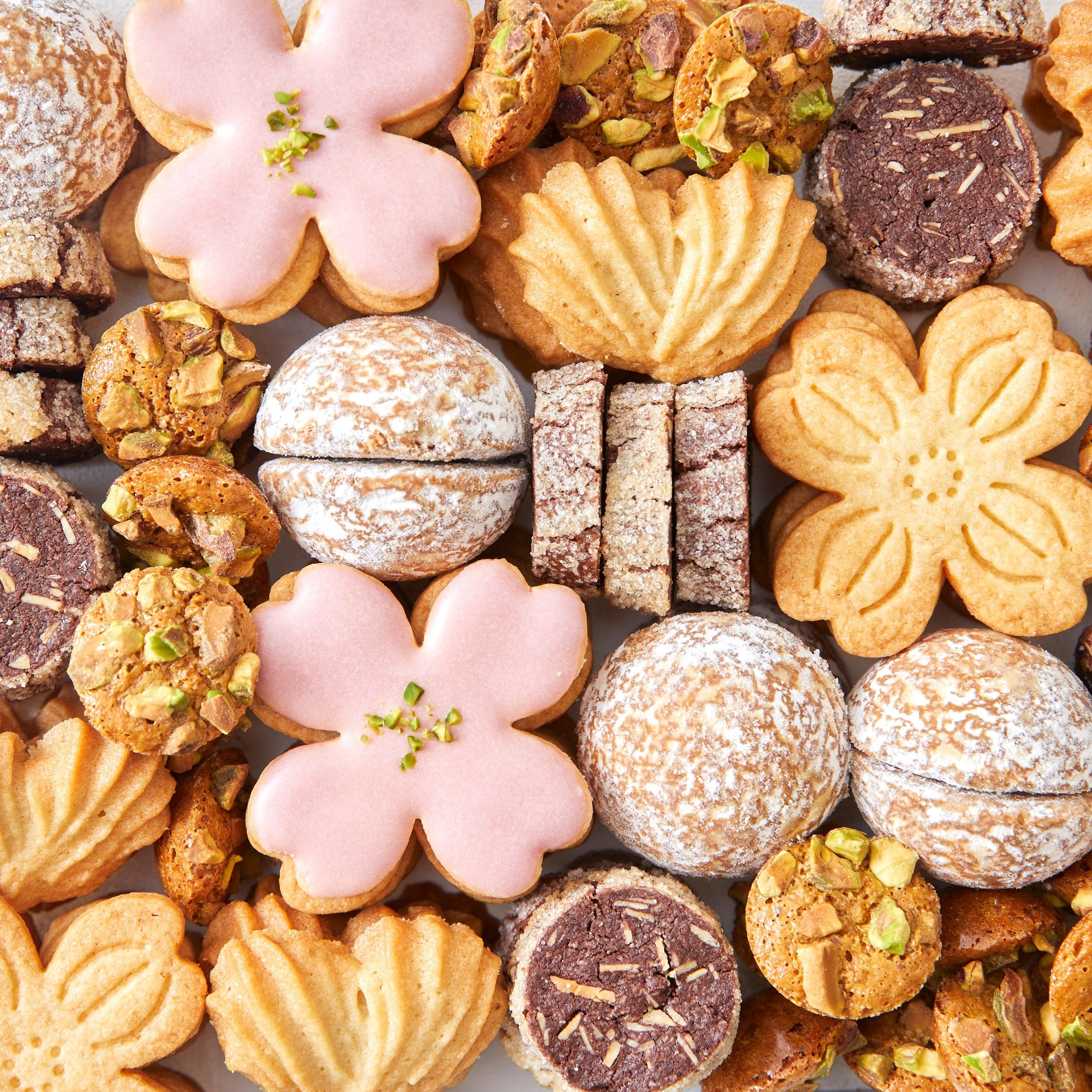 プティ フール セック ハナミズキ