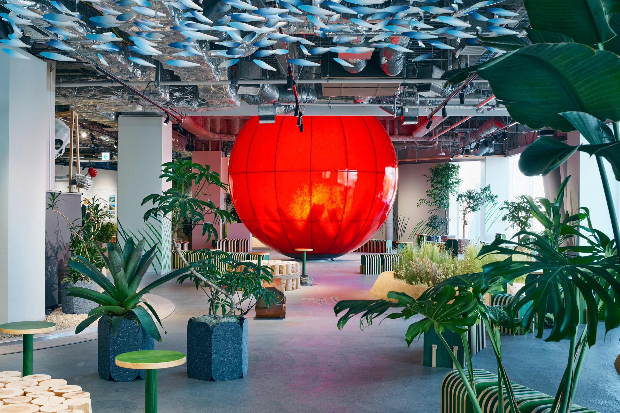 WCCF 中下級 バラ売り 再掲！ 送料無料の定期便！毎月違うバラが届く バラの匠 神田ばら園の高級バラ