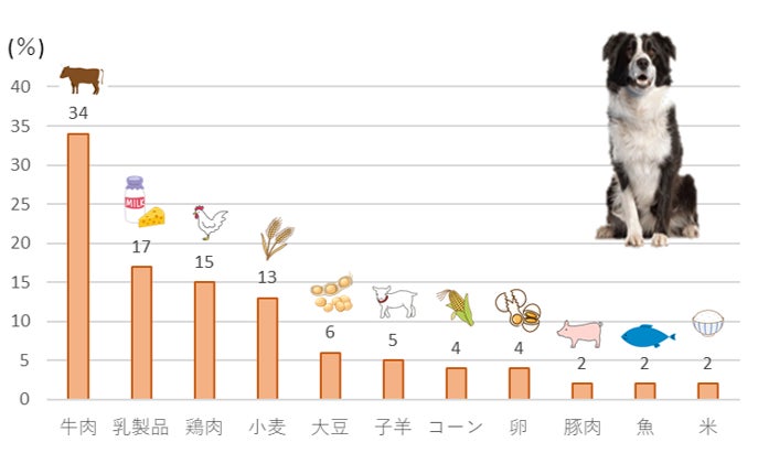 犬用の療法食Vet Life 体重ケア フィッシュ新発売 | ファルミナペット 犬用の療法食Vet Life 体重ケア フィッシュ新発売 | ファルミナペット