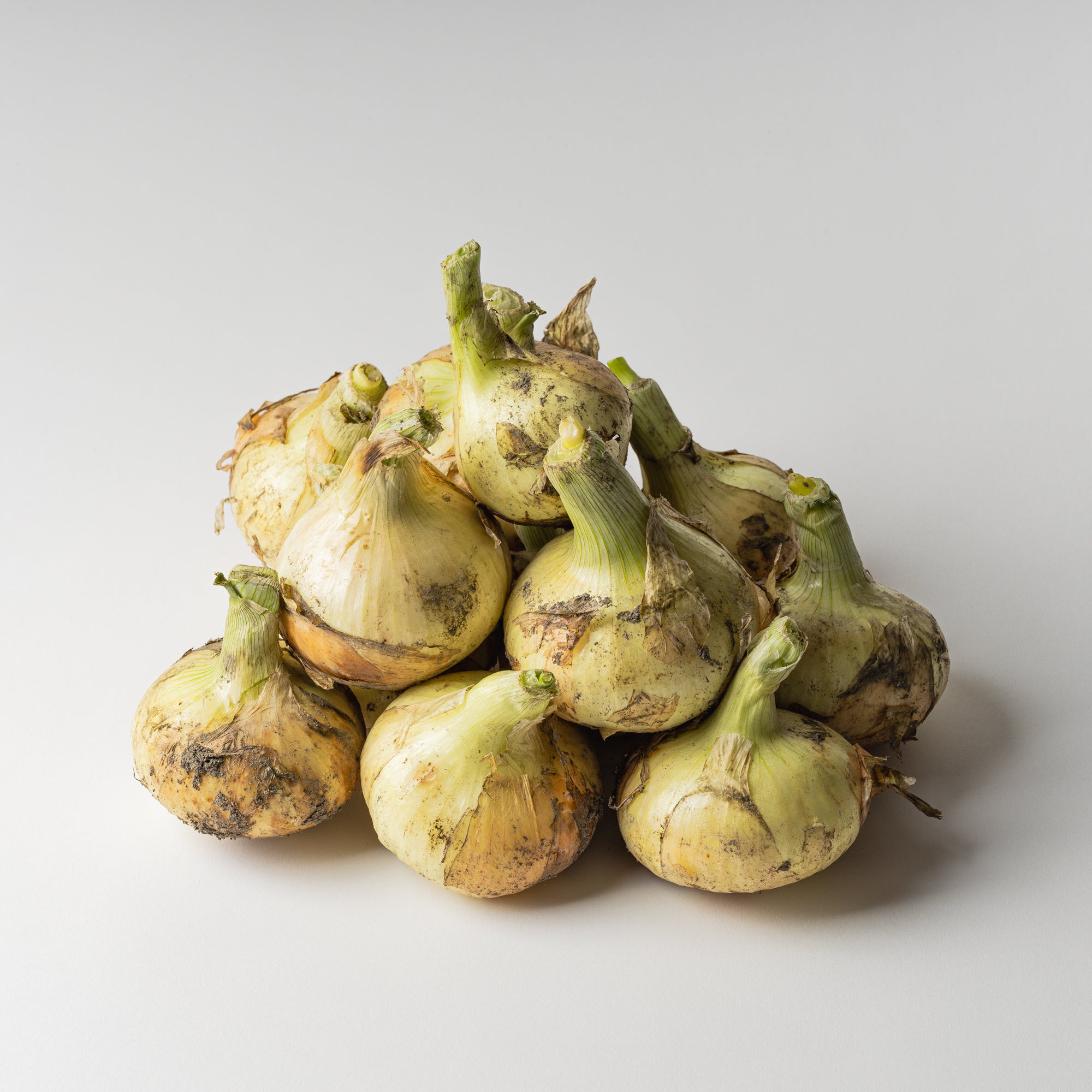 毎年入荷とともに売り切れる新玉ねぎ