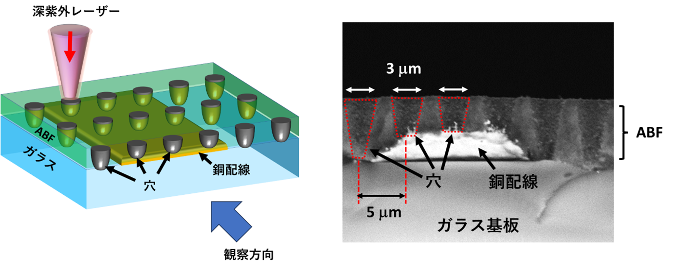 図2：作成した微細穴の断面電子顕微鏡写真