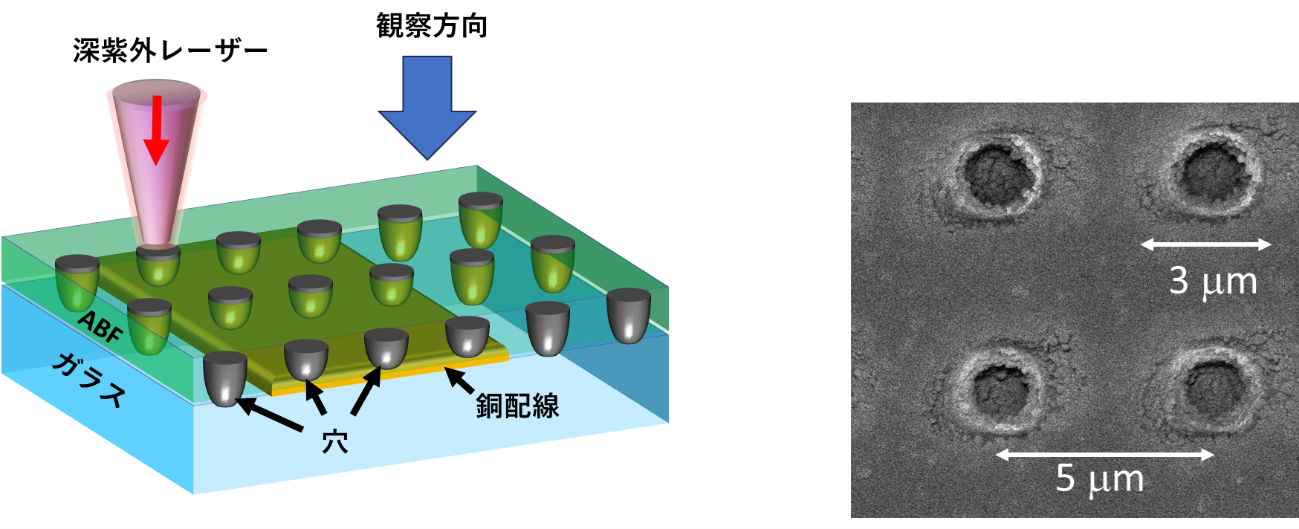 図1：味の素ビルドアップフィルムⓇ（ABF）にあけた微細穴を上から見た電子顕微鏡写真