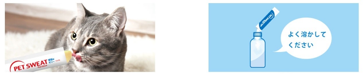 ペットスエットゼリー愛猫用　使用シーン　　　　　　　　　　　　ペットスエットパウダー　使用イメージ