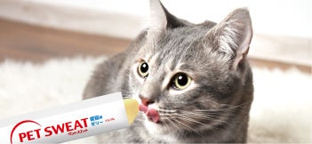 ペットスエットゼリー愛猫用使用シーン
