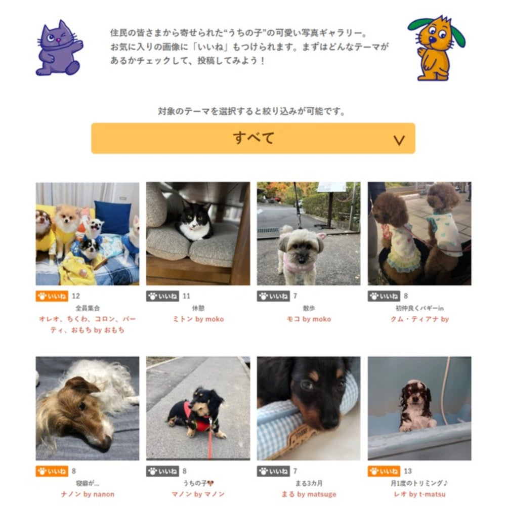 うちの子ギャラリー