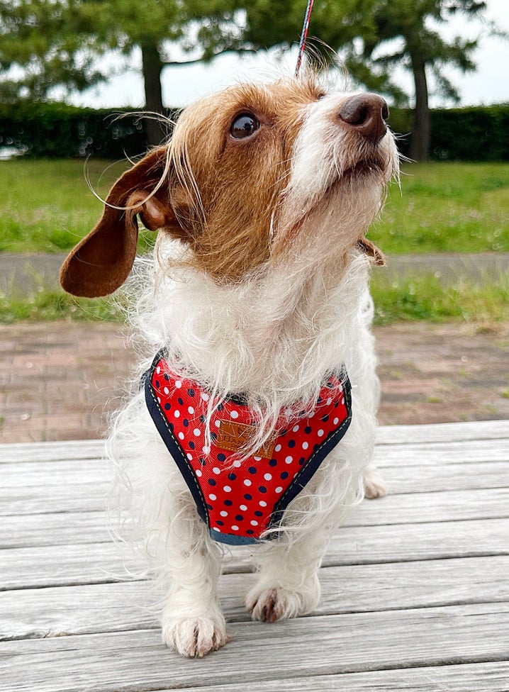 エブリデイ　ソフト軽胴輪装着画