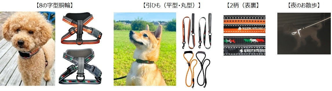 ナイトランシリーズ