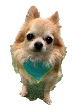 ライトブルー着用社員