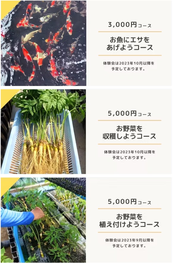 クラウドファンディングリターン(一部ご紹介)