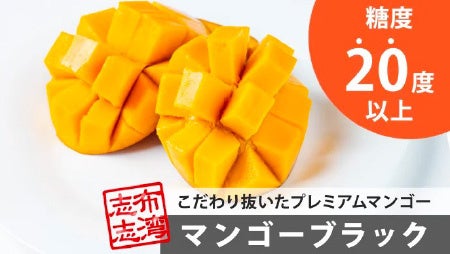 糖度20度に達した奇跡のプレミアムマンゴーをスペシャル