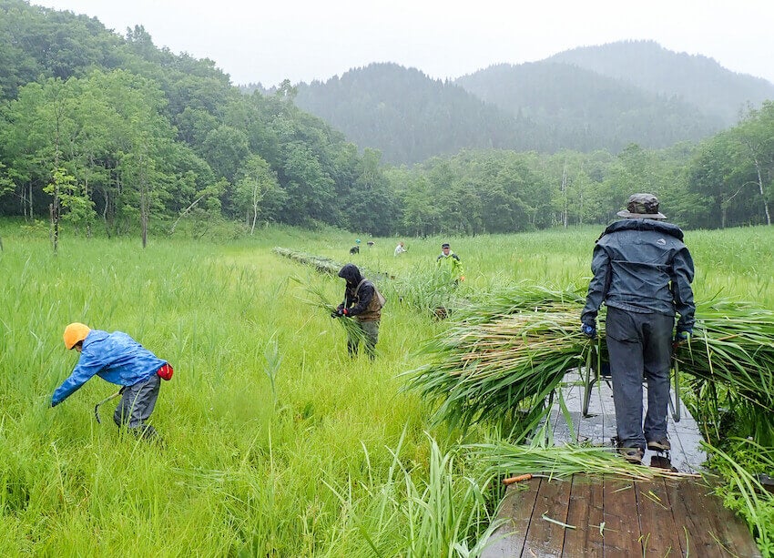 2022年に実施したヨシ刈りツアーの様子