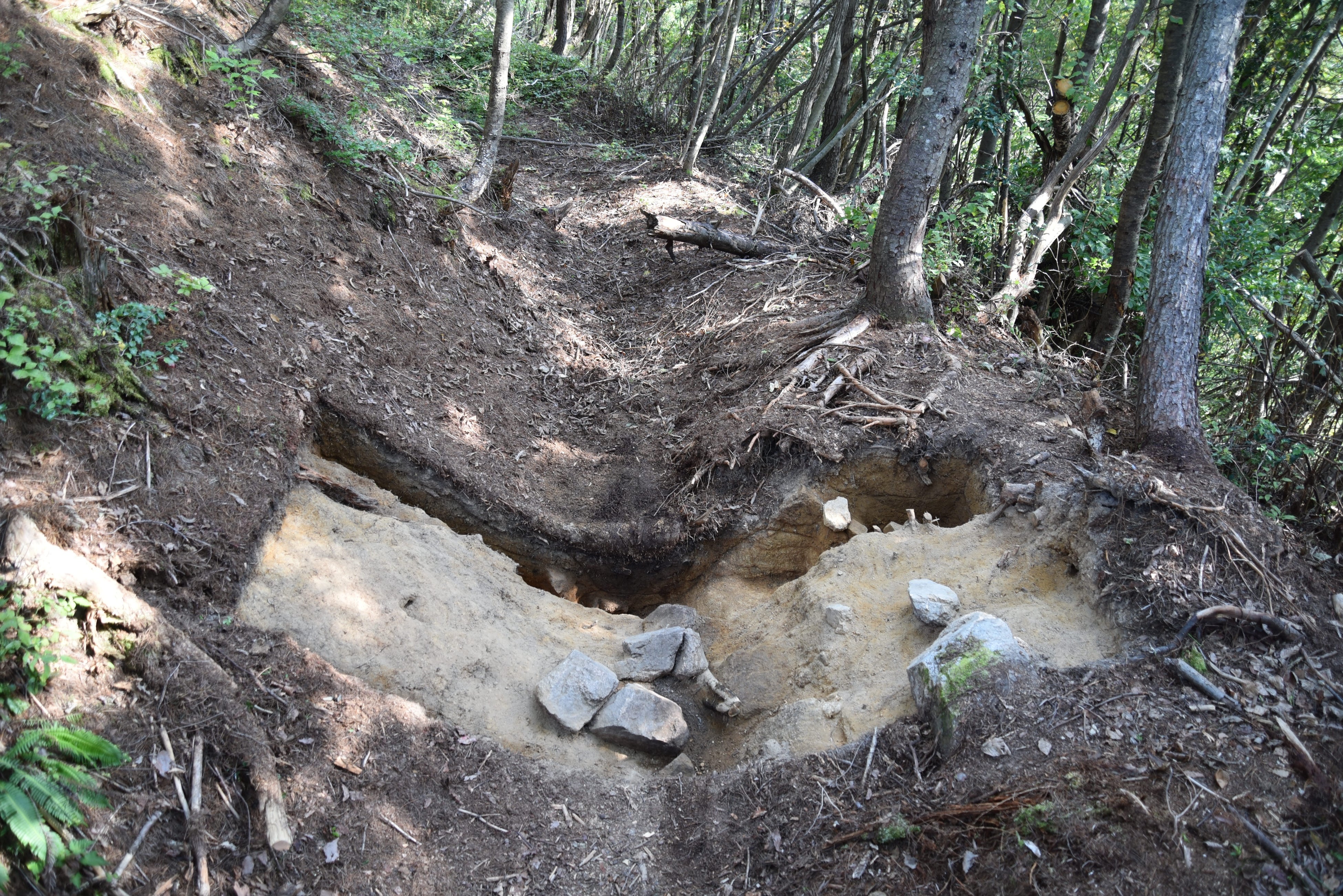 傘松城跡主郭地区西側横堀調査写真