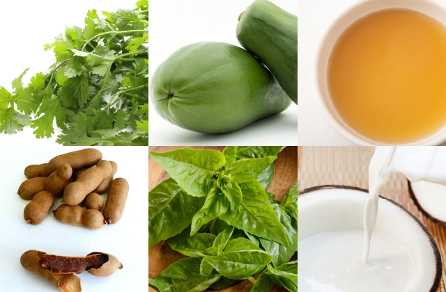 （左上から）パクチー、青パパイヤ、ナンプラー、タマリンド、スイートバジル、ココナッツミルク