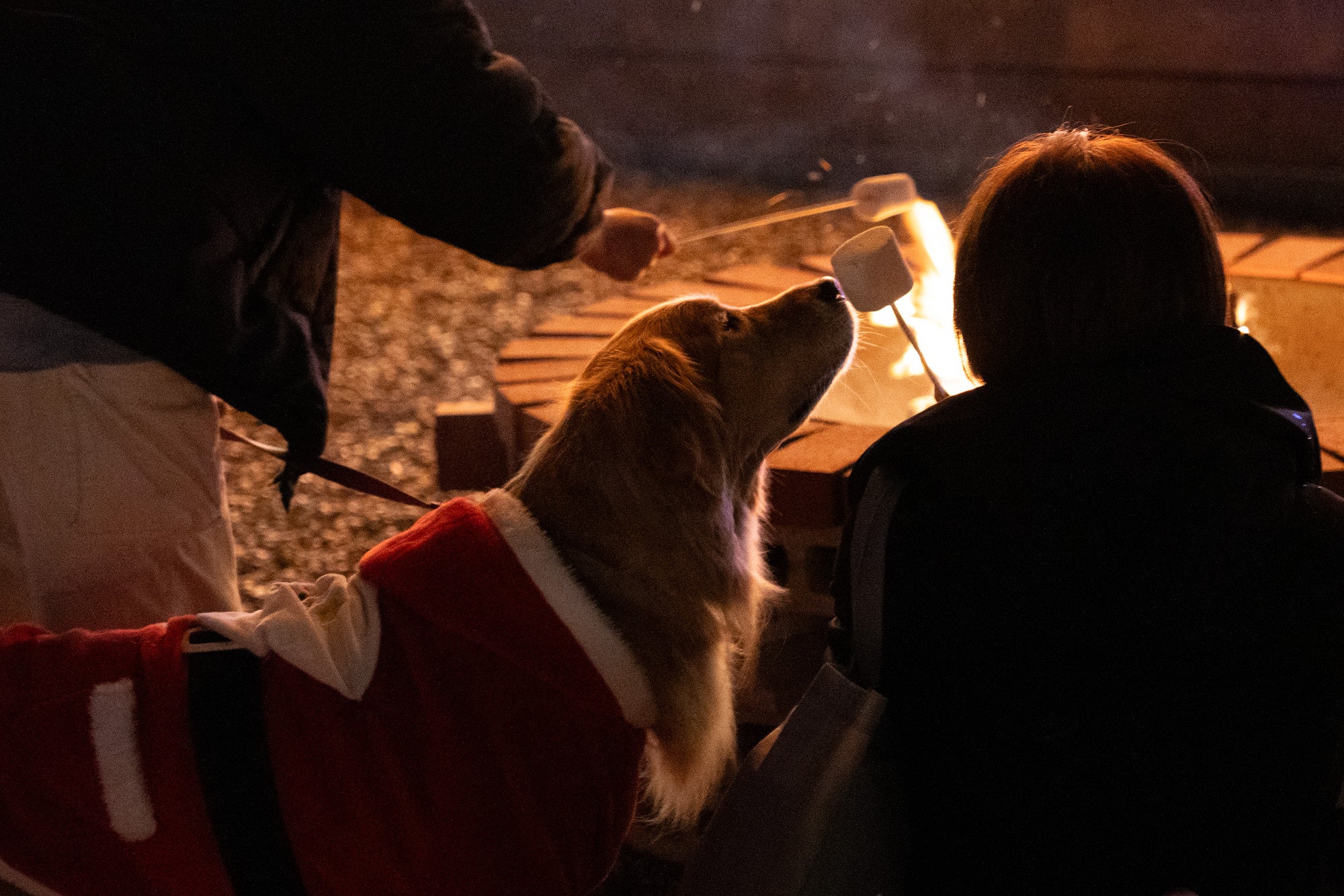 富士からのクリスマス 楽天市場】シルククリスマスカード 忍者と富士山｜jxcd-120