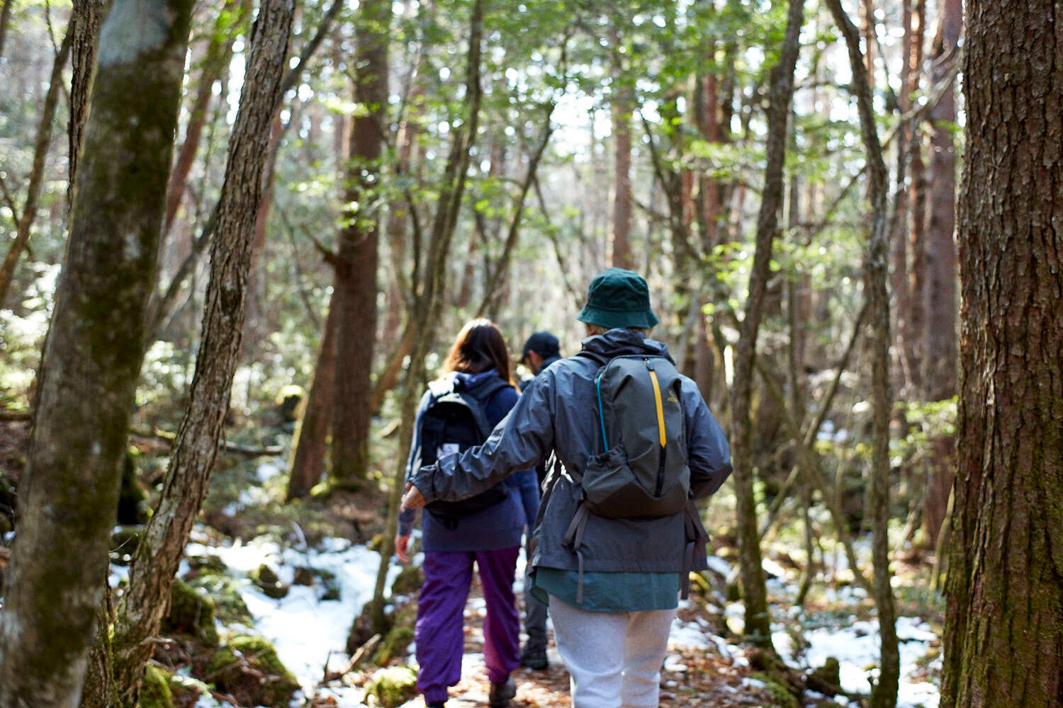 クルーズイメージ画像