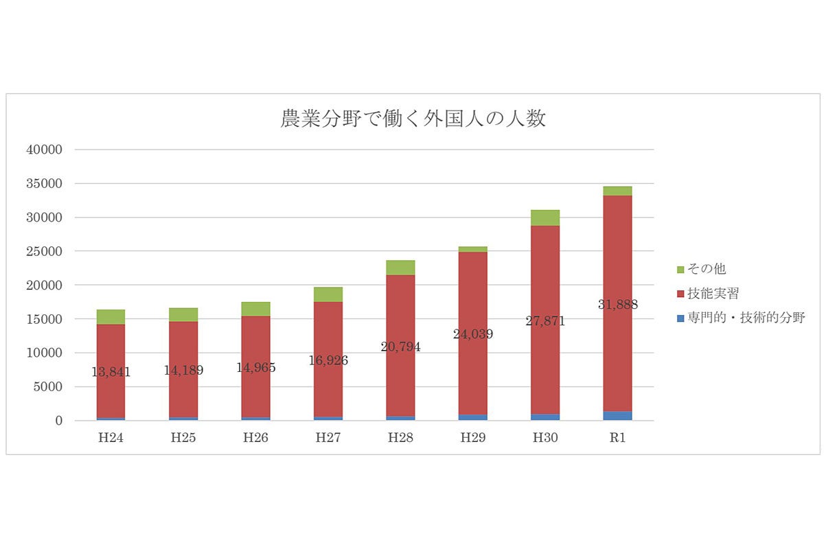 出典　農業分野における外国人の受入れについて