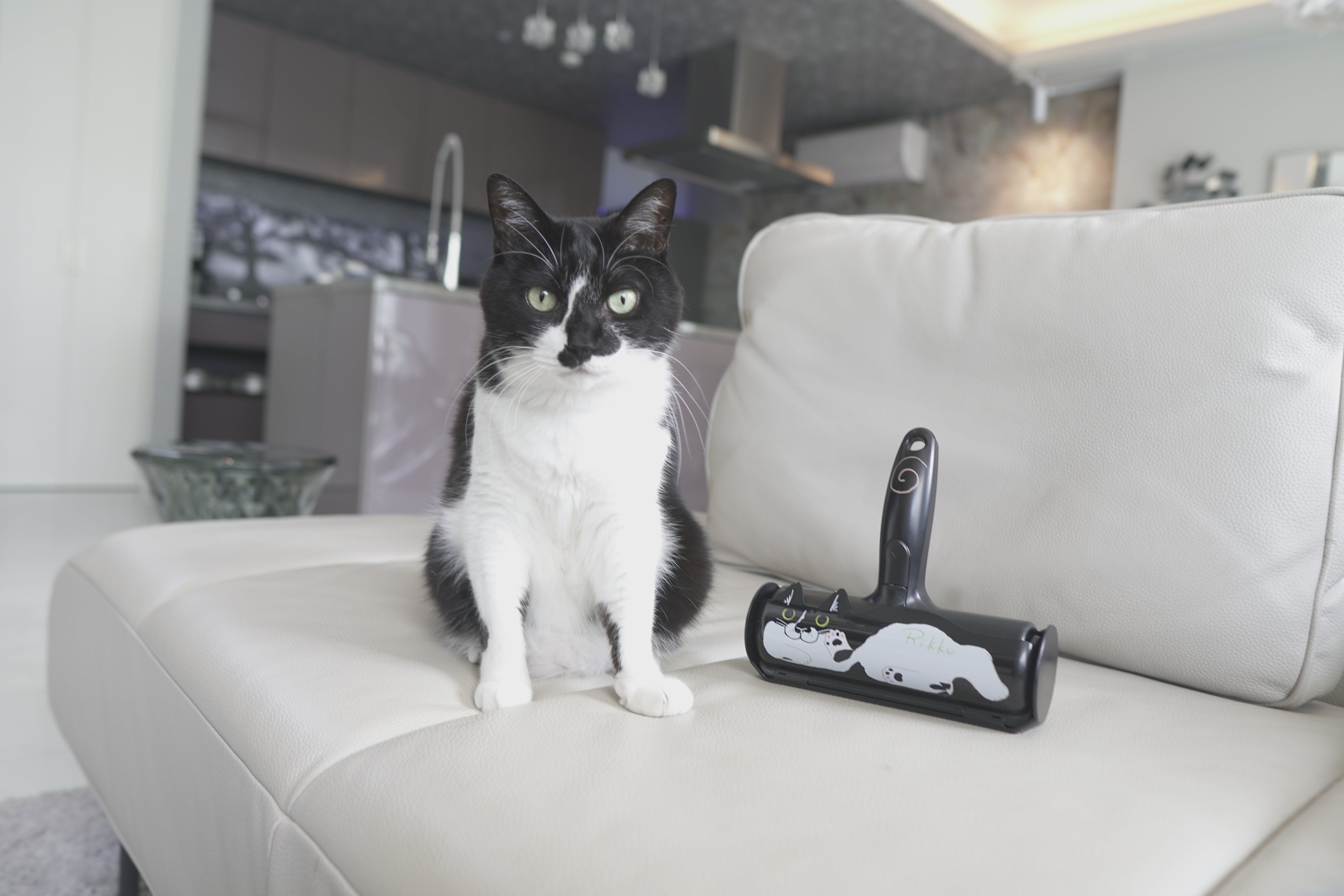 リュックとぱくぱくローラーRIkku（リュック）