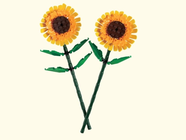 ※画像はすべてイメージです。