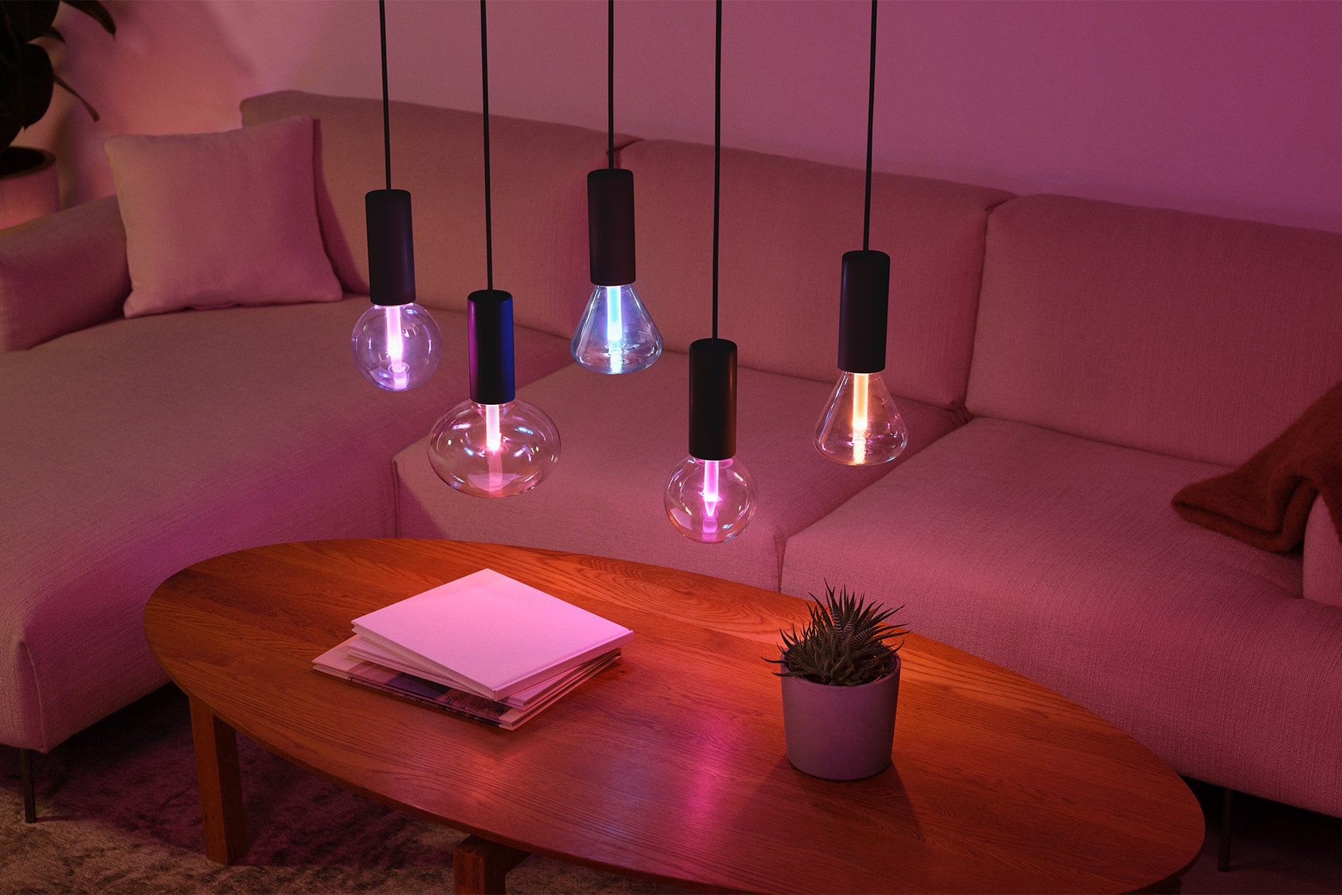 フィリップス hue