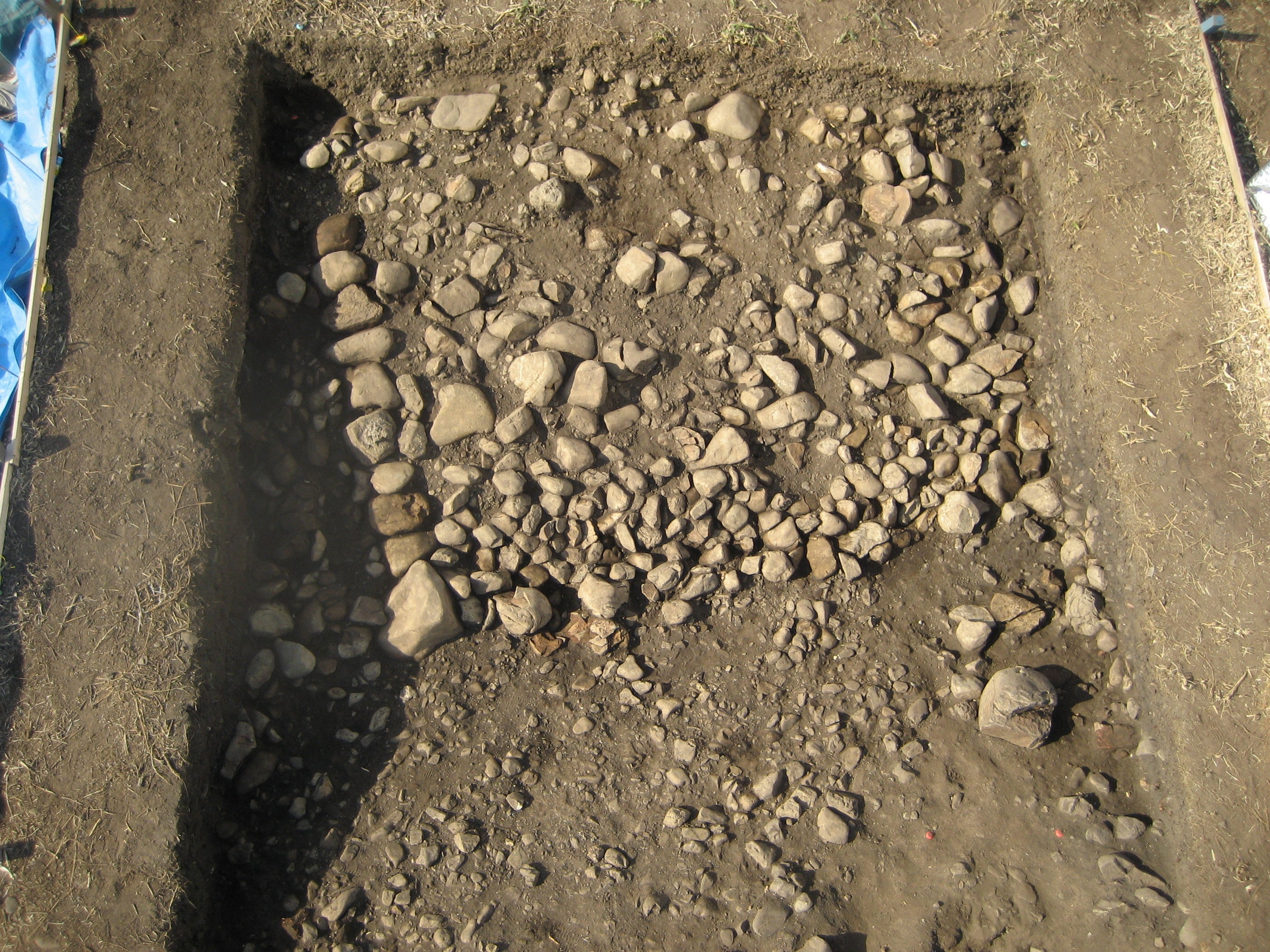 発掘調査で確認した葺石