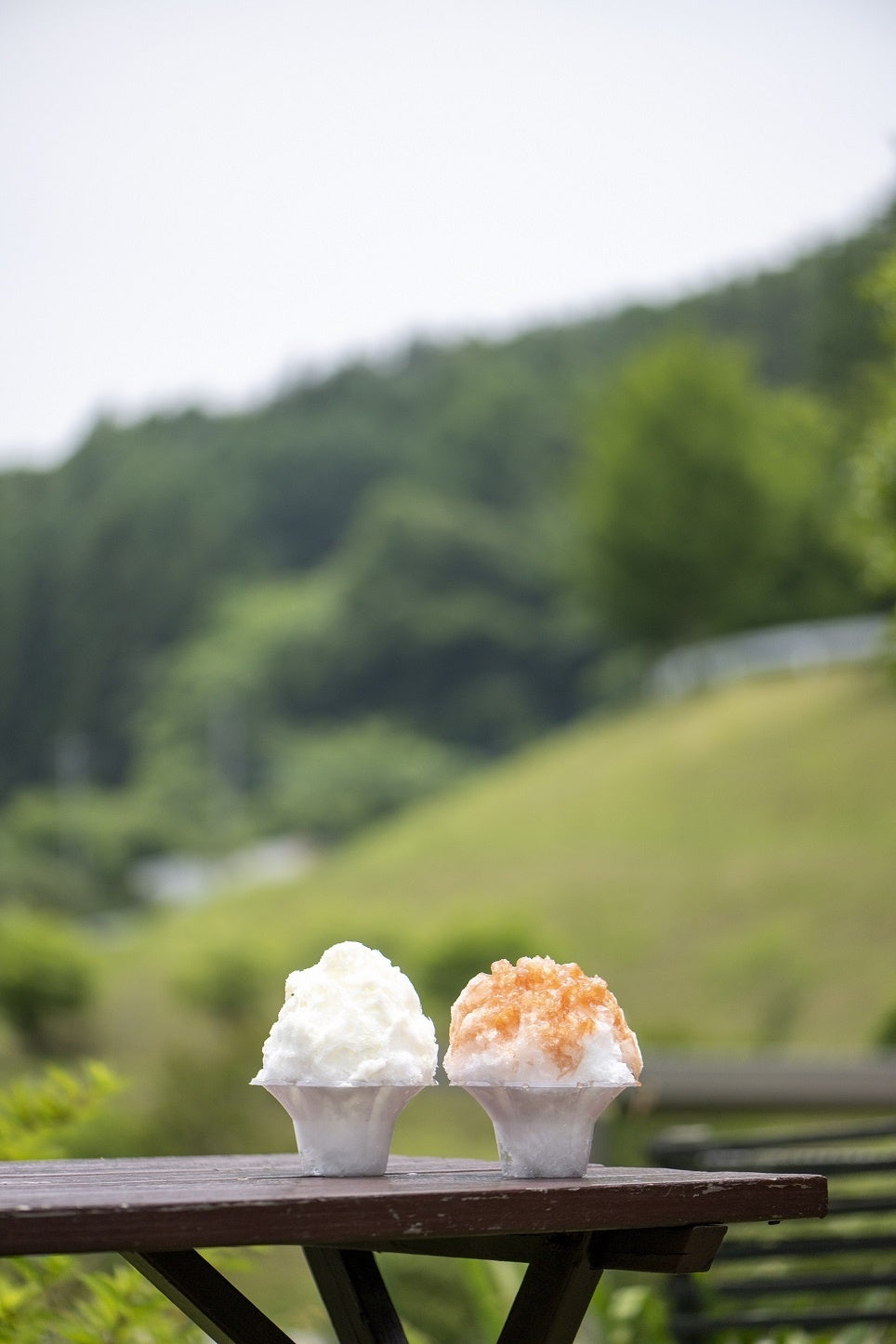 高原みるく（左）といちご（右）
