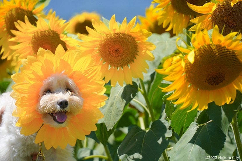 @poohstagram1010 様