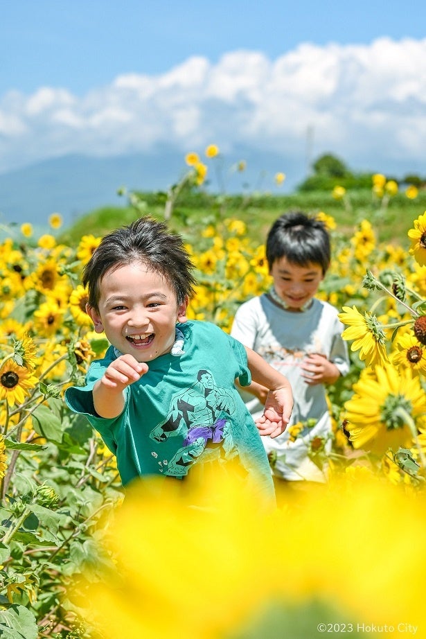 @emoldurada_camp_life 様