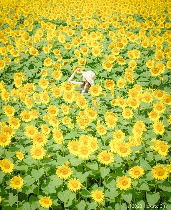 @kumiko_naru 様