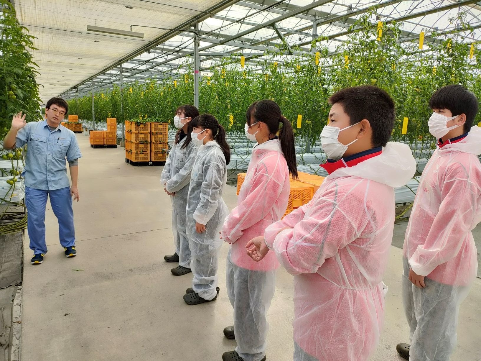 明野九州屋ファーム工場の見学