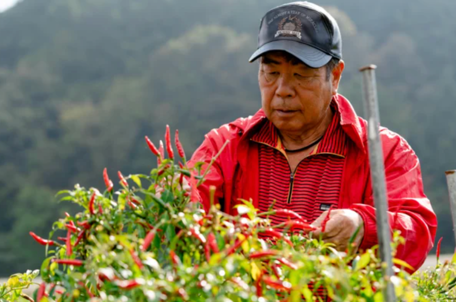 農業組合法人あまのじゃく　泉谷 邦雄さん