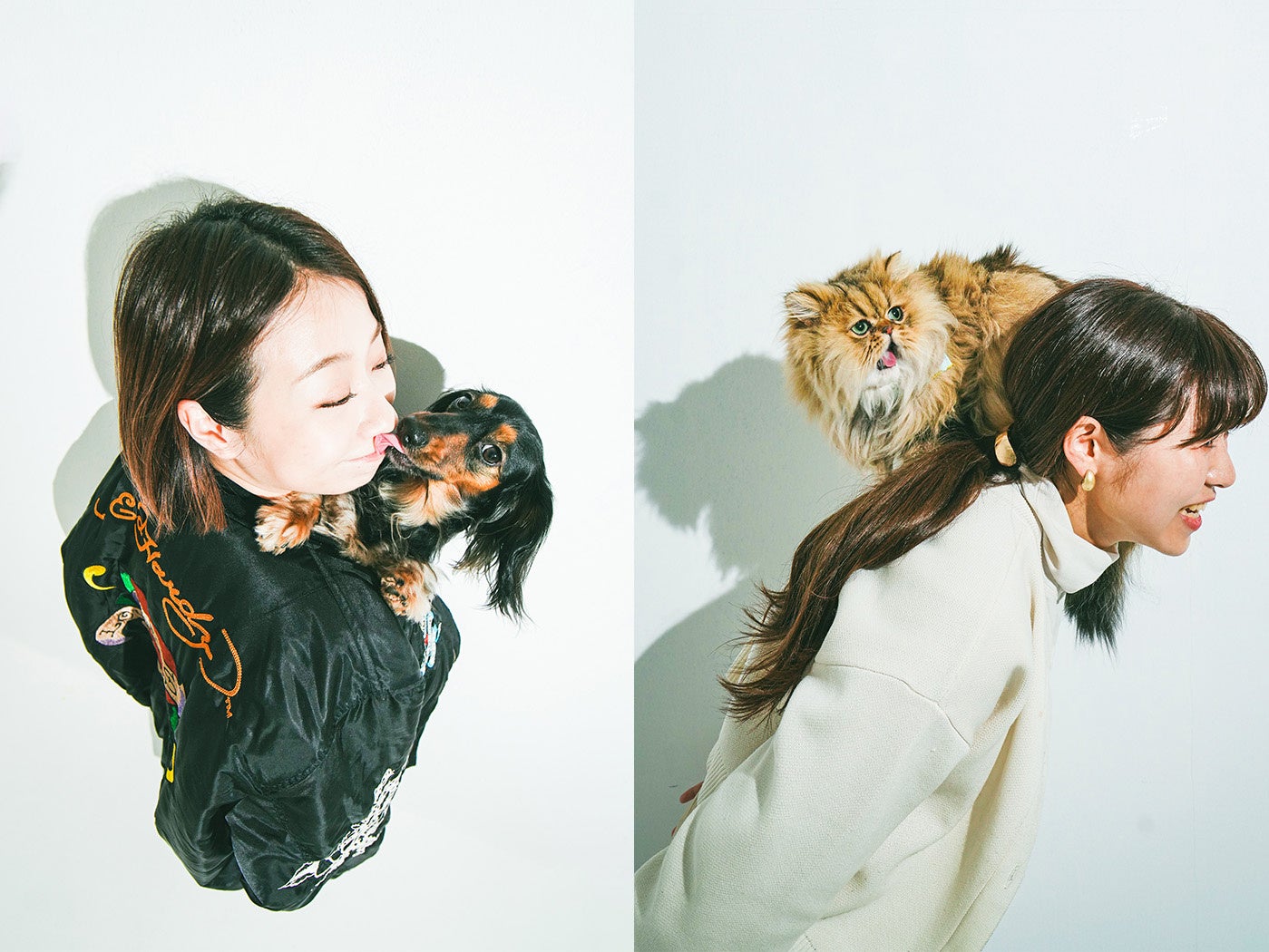 撮影協力：HAREI