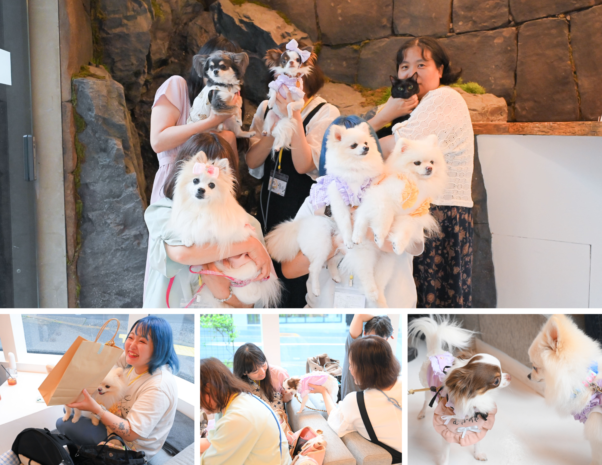 盛り上がる会場の様子