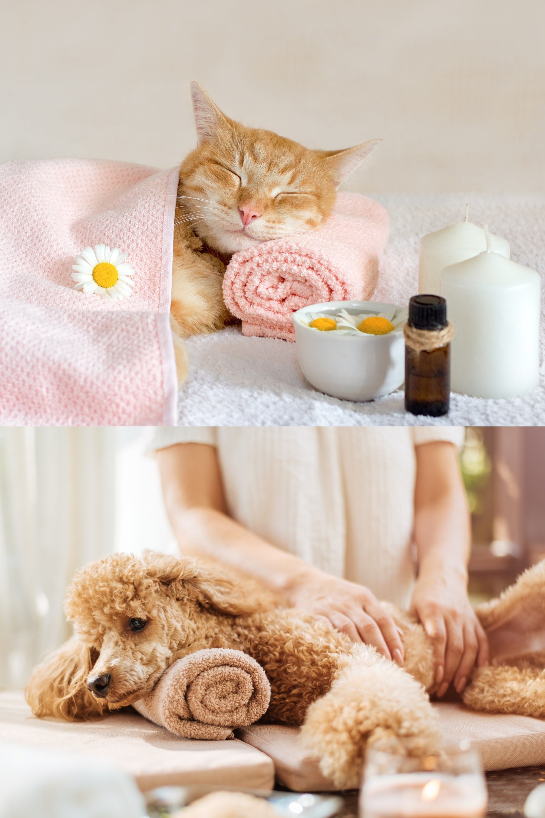 ※写真はイメージです